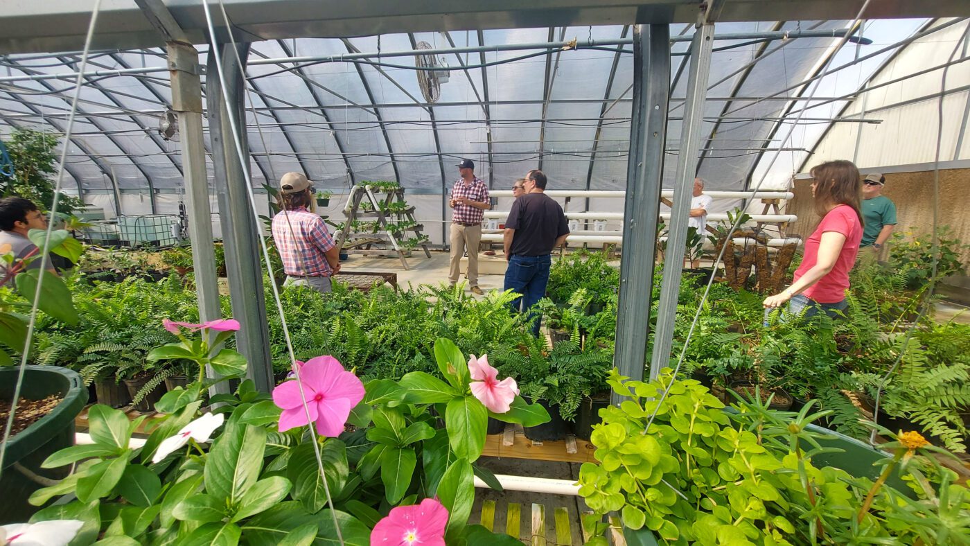 A group of people talking in a greenhouse.