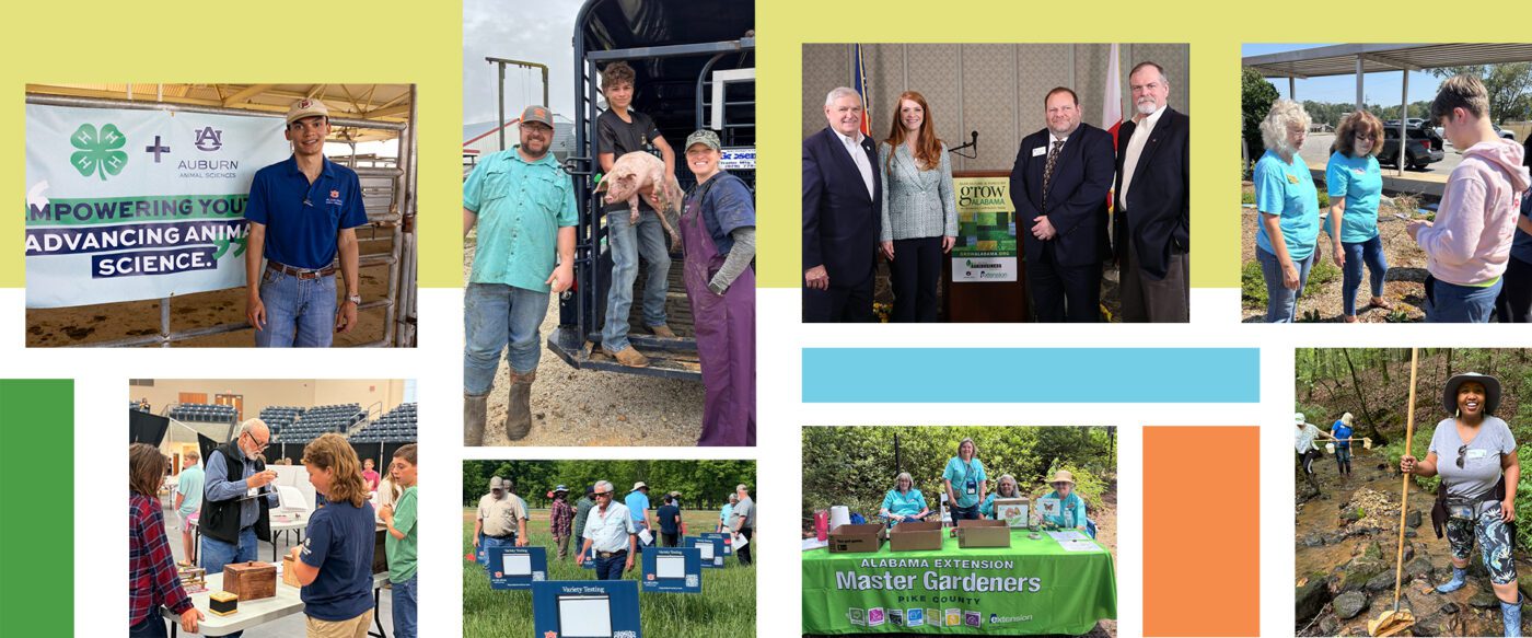 A collage of photos of people at different Extension events and programs.