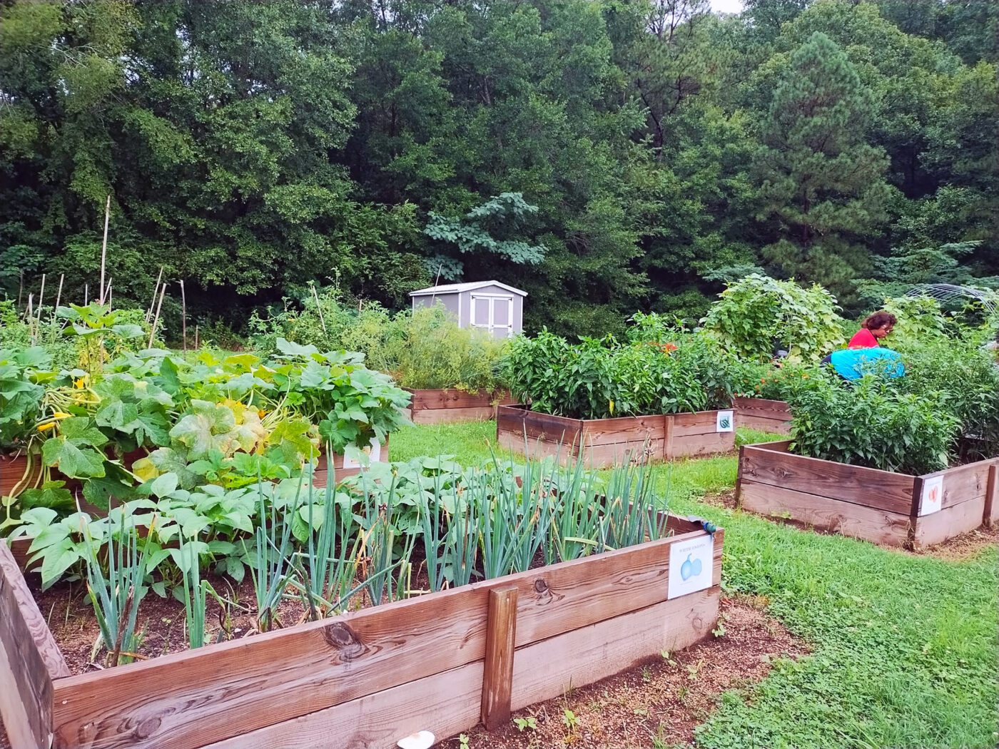 The Hobson City Community Garden