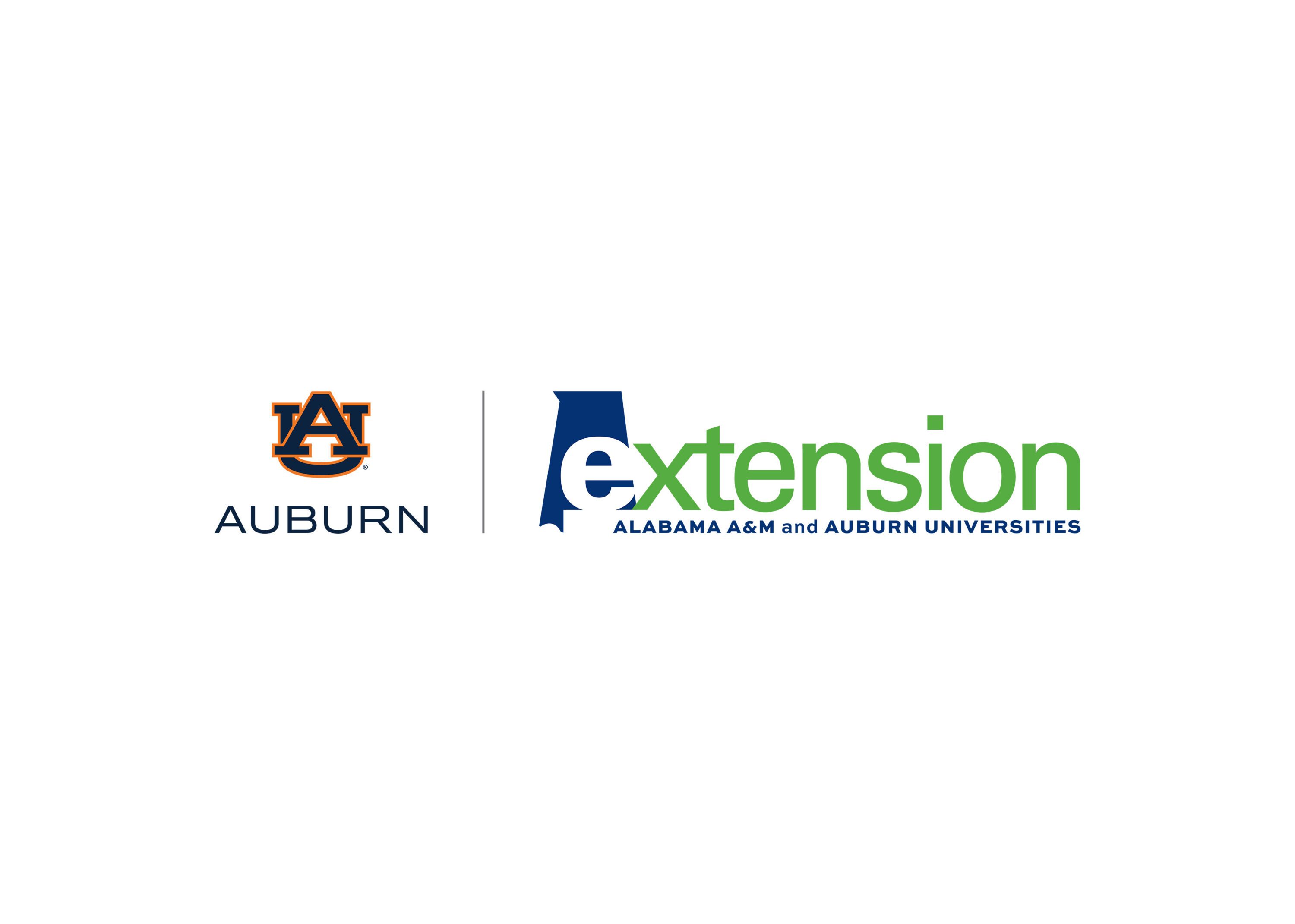 Extension and Auburn logo for intern pages 3