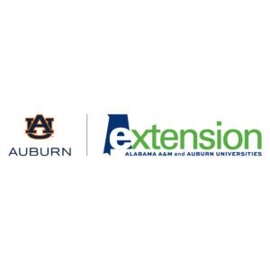 Extension:Auburn logo for intern pages
