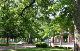 A tree-covered public area in a city.