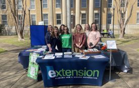 Fayette County Extension's walking health fair.