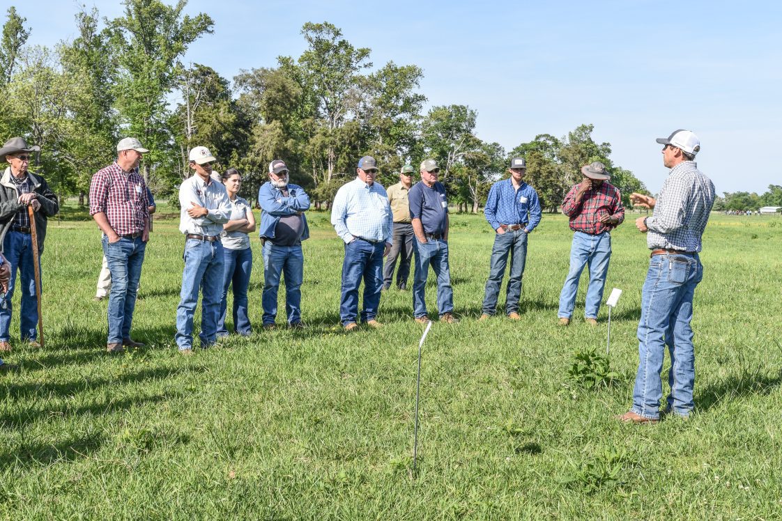 David Russell speaks to farmers at an Alabama Cooperative Extension System field day.