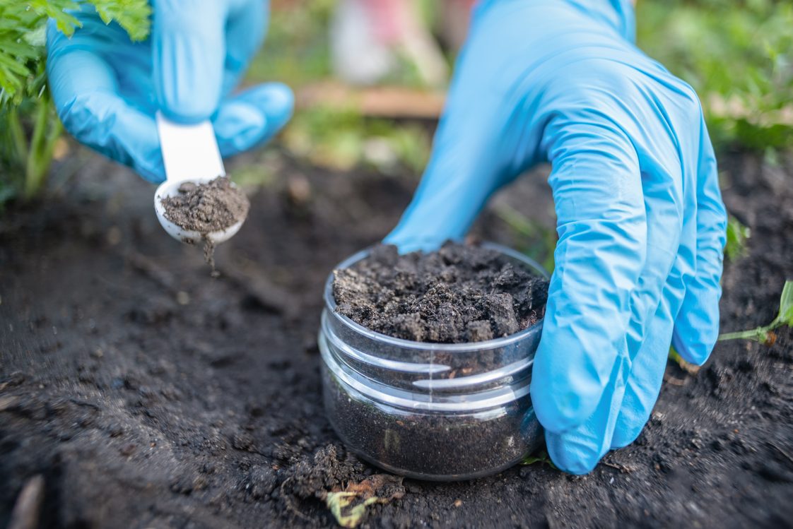 A person wearing blue gloves taking soil samples from a garden.