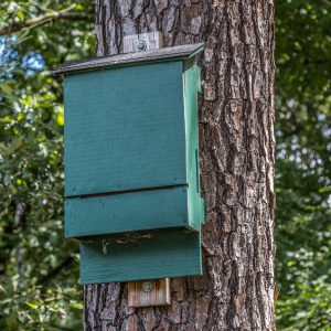 Figure 3. Bat house.
