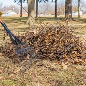 Tree branches and leaf rake in yard.