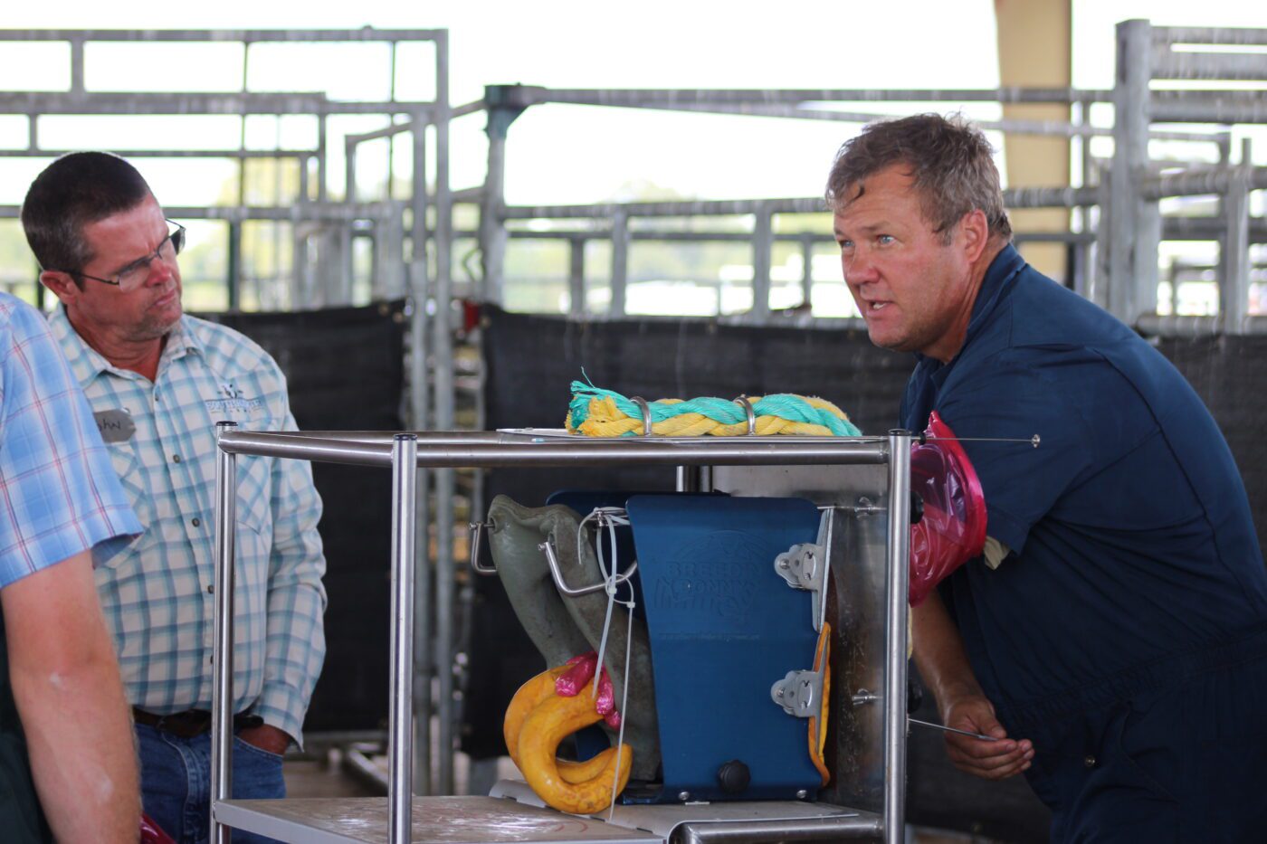 Extension veterinarian Soren Rodning demonstrating how to pregnancy check a cow using a table-top model. 