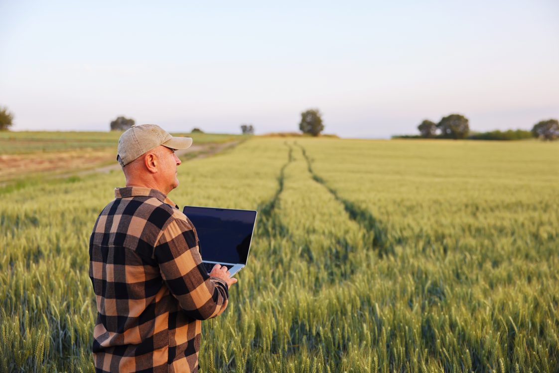 Farmer working with laptop in wheat field.
