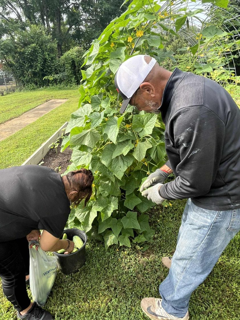 Hobson City residents in garden