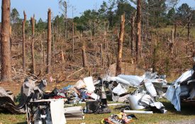 Tree and property damage after a natural disaster