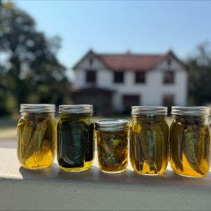 Produce from the garden is enjoyed by Wilmer Hall residents and staff. They also learned food preservation.