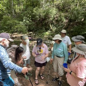In-person field days are an important part of the Alabama Master Naturalist program.