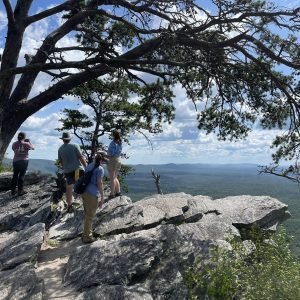 Alabama Master Naturalist program participants enjoy an in-person field day at Mount Cheaha.