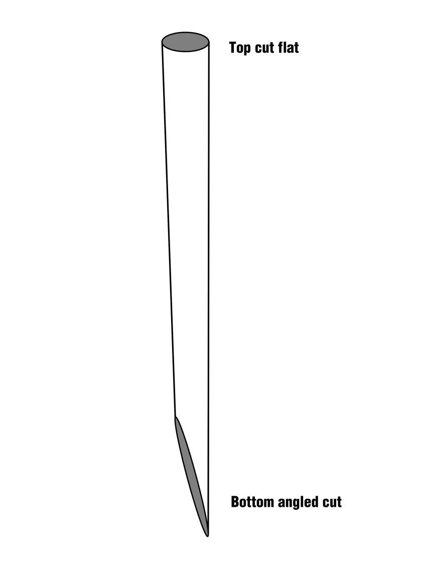 Figure 7. Cut a live stake at an angle.