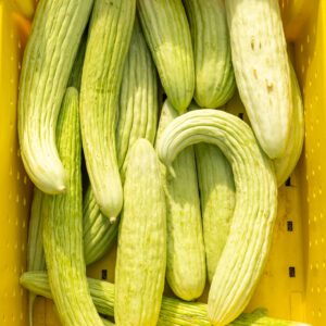 Figure 1b. Example of the fruit of the Armenian Cucumber.