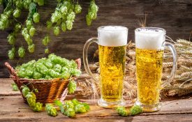 Cold beer surrounded by hops cones