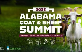 A picture of goats in a pasture with the words "2025 Alabama Goat & Sheep Summit. Sustainable Livestock Care for Performance & Profitability" in the center and the Alabama Extension and Alabama A&M university co-branded logos in the bottom left corner.