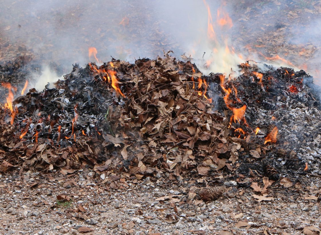 A close-up shot of a pile of burning leaves.