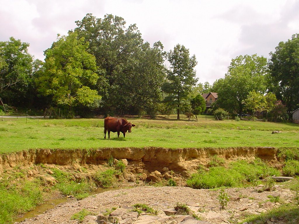 Figure 2. Side view of an eroding stream bank lacking deep root structures to keep soils in place.