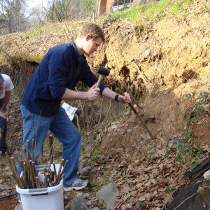 Figure 3. Live stakes being installed in an eroding stream bank.