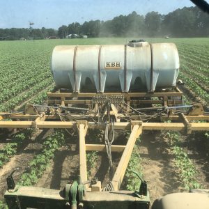 Equipment applying liquid fertilizer to a cotton field.