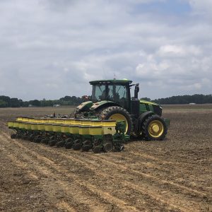 A tractor and planter planting a cotton field.