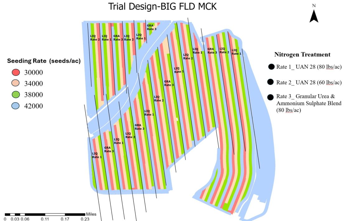 A map that shows the field trial design for the Lindsey farm.