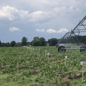 Irrigation systems in a field.