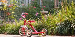 A red tricycle outside in front of a home flower bed on a sunny day