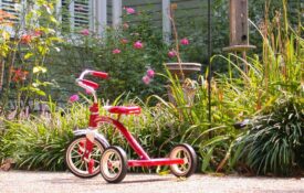A red tricycle outside in front of a home flower bed on a sunny day