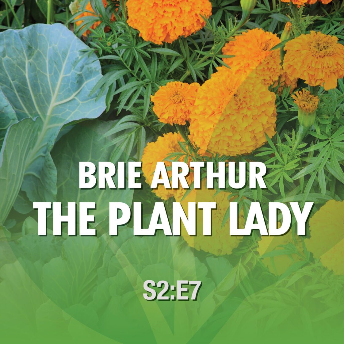 Season 2 Episode 7—Brie Arthur the Plant Lady episode artwork