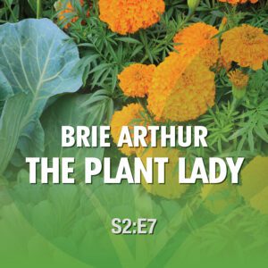 From the Ground Up!—Season 2 Episode 7 Brie Arthur the Plant Lady