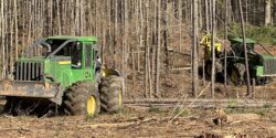 Heavy equipment harvesting trees from forested land that was planted for harvest.