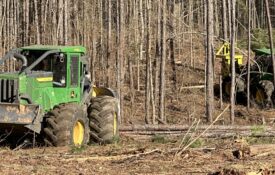 Heavy equipment harvesting trees from forested land that was planted for harvest.