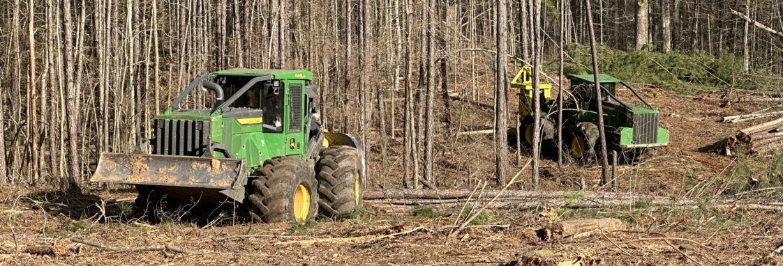 Heavy equipment harvesting trees from forested land that was planted for harvest.