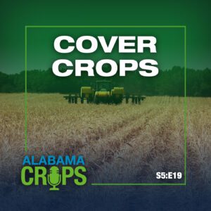 A graphic showing a peanut planter driving through wheat cover crop. Also has words Cover Crops, Alabama Crops and S5:E19.
