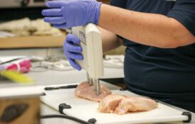 Sampling raw poultry in lab