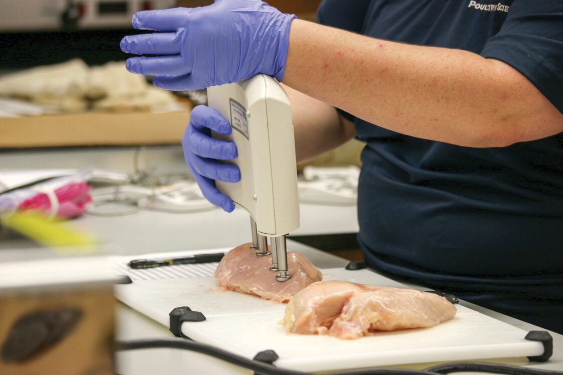 Sampling raw poultry in lab