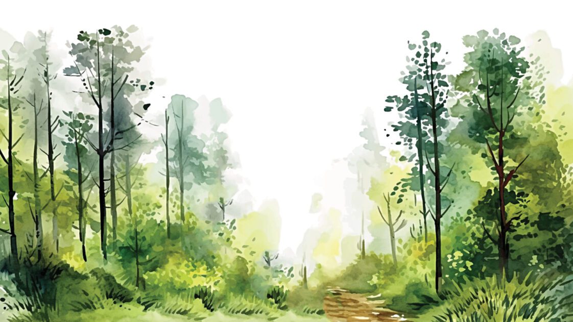 An illustrated forest scene resembling watercolor paintings.