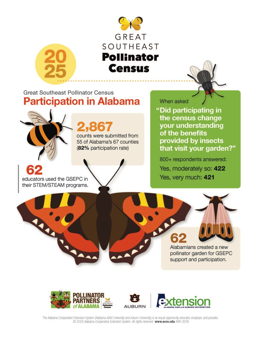 2025 Pollinator Census Results with illustrated images of pollinators on a white background.