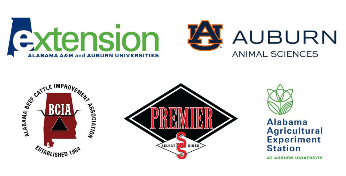 Logos for Alabama Cooperative Extension System, the Auburn University College of Agriculture's Department of Animal Sciences, the Alabama Beef Cattle Improvement Association, Select Sires, and the Alabama Agricultural Experiment Station.
