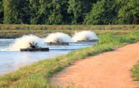 Figure 3. Paddle wheel aerator at a catfish farm in Greene County, Alabama.