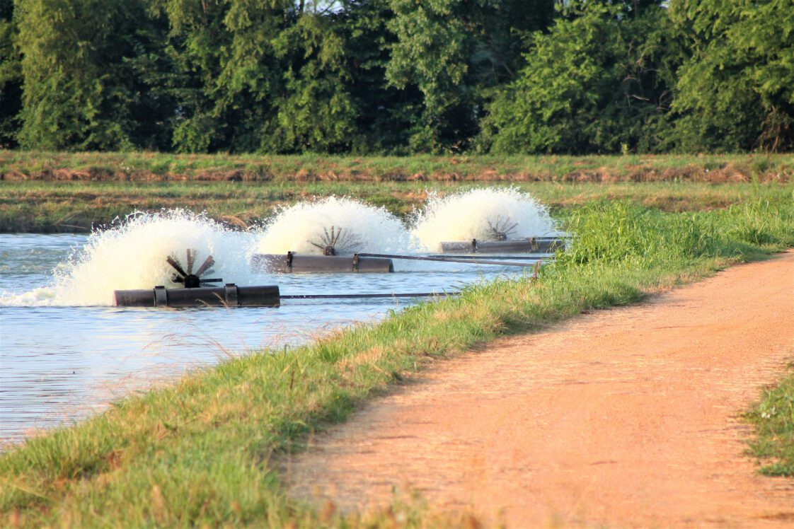 Figure 3. Paddle wheel aerator at a catfish farm in Greene County, Alabama.