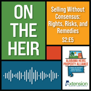 Season 2 Episode 5—Selling Without Consensus: Rights, Risks, and Remedies