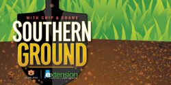 A illustrated image of a shovel digging in dirt with the words Alabama Extension Southern Ground with Chip & Shane