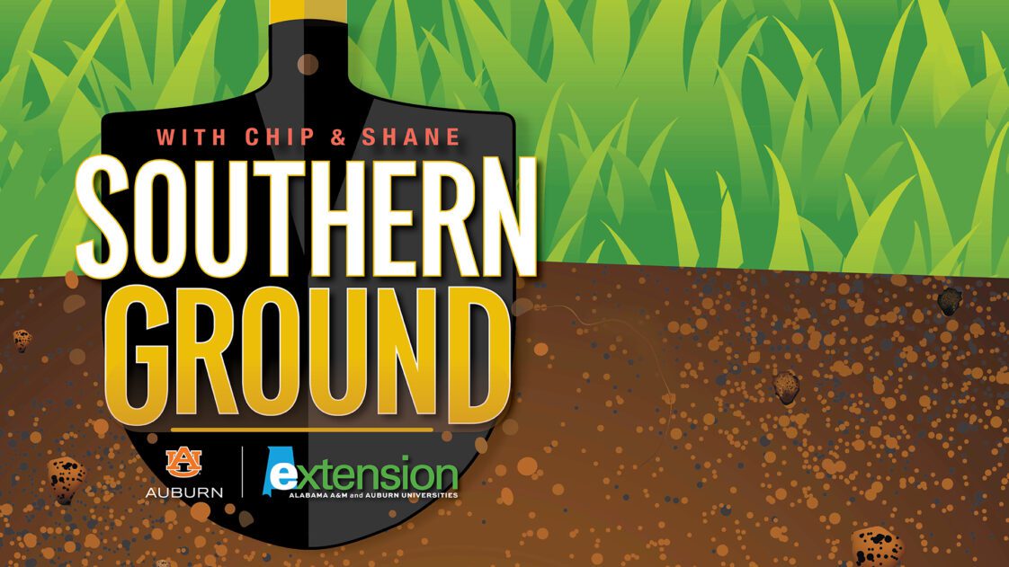 A illustrated image of a shovel digging in dirt with the words Alabama Extension Southern Ground with Chip & Shane
