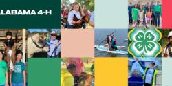 Colors and pictures of 4-H members in a collage.