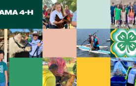 Colors and pictures of 4-H members in a collage.