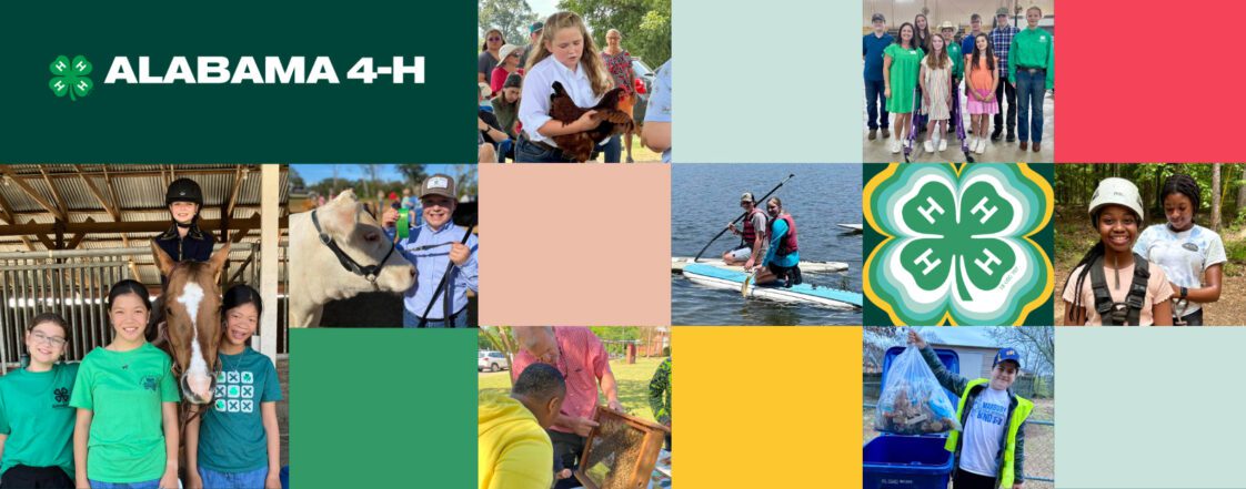 Colors and pictures of 4-H members in a collage.